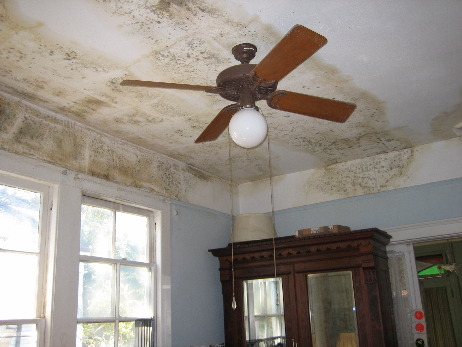Mold growing on a ceiling after water damage — a post-Katrina home in New Orleans