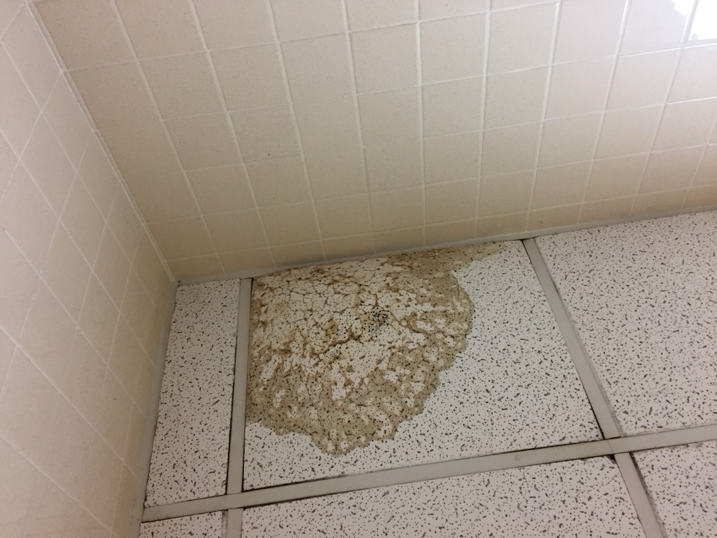 A sagging, water-damaged ceiling with a large brown stain and peeling paint from a slow leak above